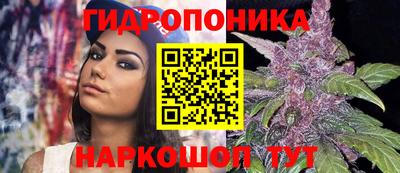 spice Донской