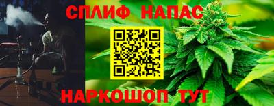 сатива Дубна