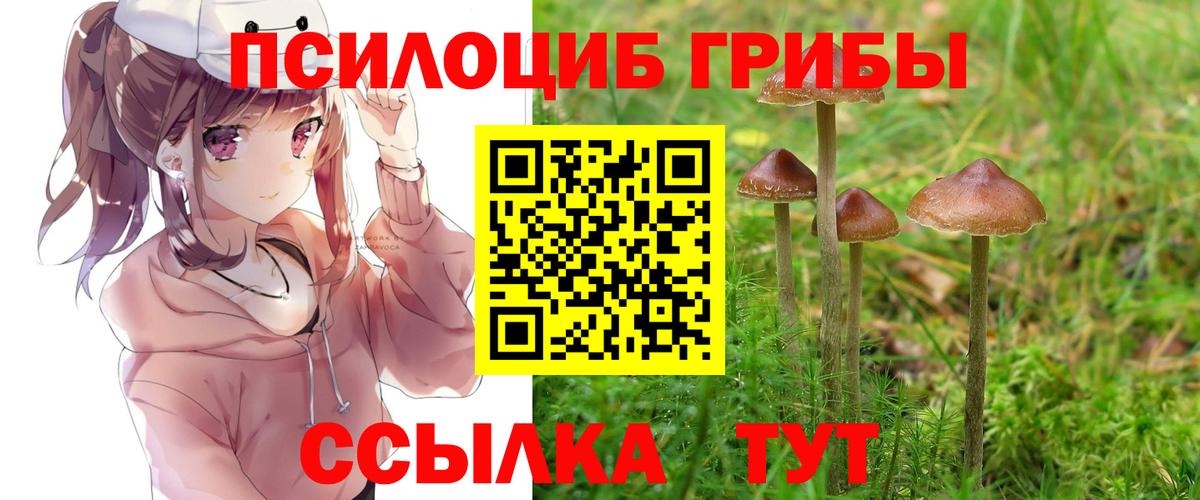 Галлюциногенные грибы ЛСД  Вход с VPN  Казань  продажа наркотиков  Галлюциногенные грибы мицелий 